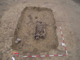 Lócsontváz egy római kori veremház padlóján