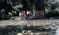 Japánkert, halastó (1967)